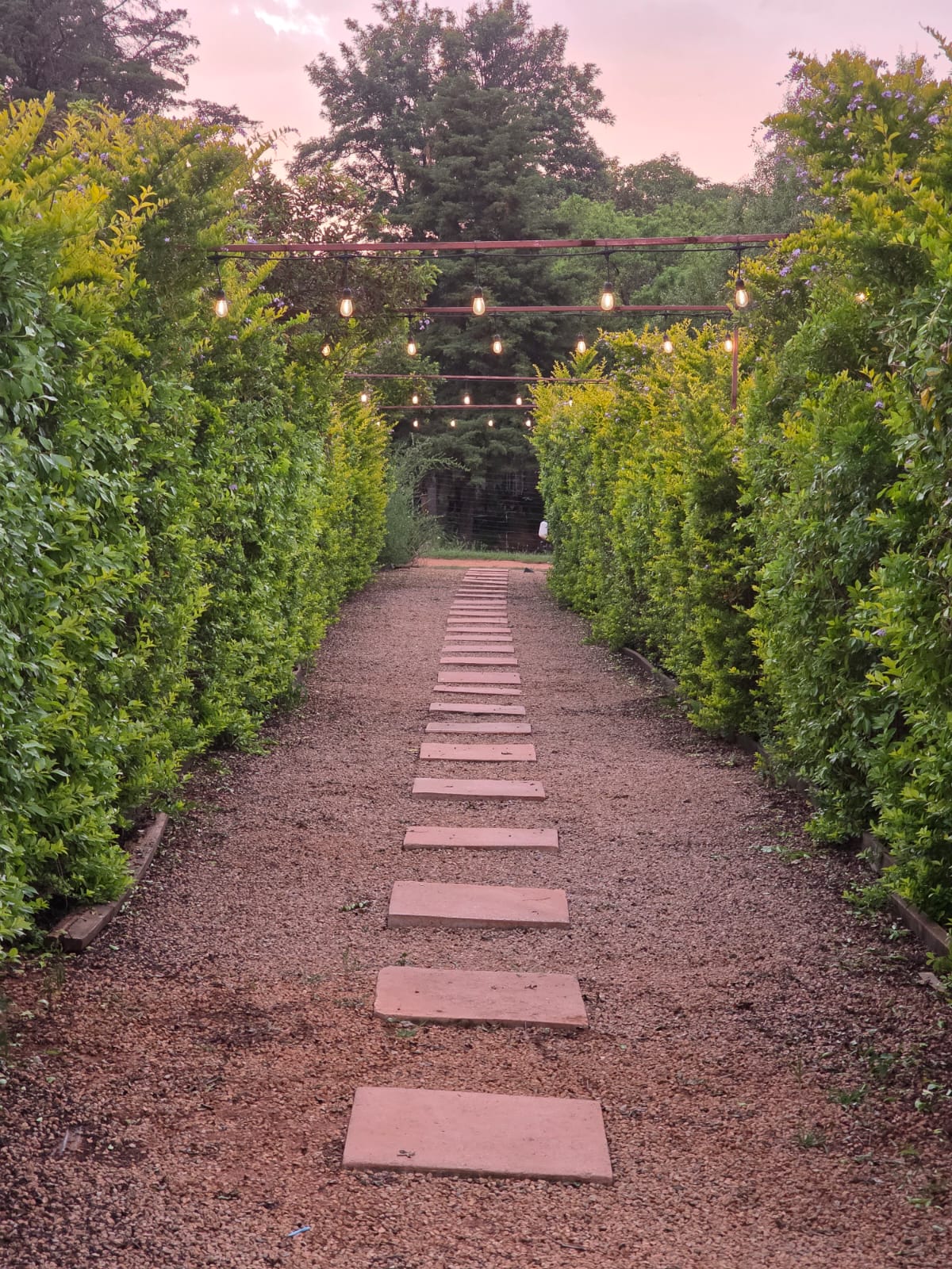 Muano garden pathway lit with fairy lights at dusk, the perfect venue setting